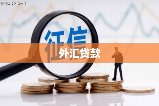 绛县外汇贷款