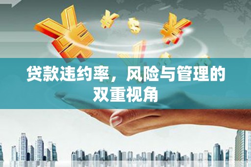 绛县贷款违约率，风险与管理的双重视角