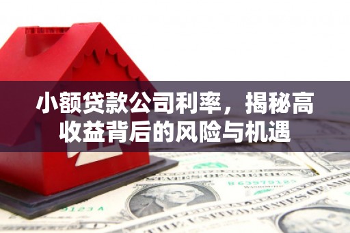绛县小额贷款公司利率，揭秘高收益背后的风险与机遇