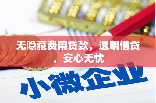 绛县无隐藏费用贷款，透明借贷，安心无忧