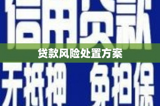 绛县贷款风险处置方案