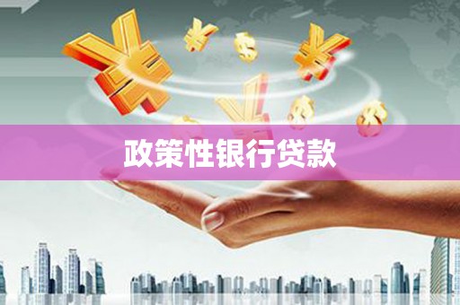 绛县政策性银行贷款