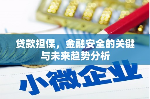 绛县贷款担保，金融安全的关键与未来趋势分析