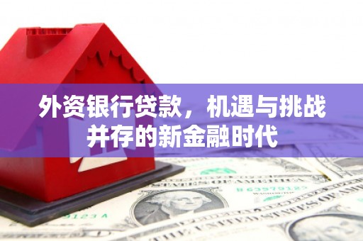 绛县外资银行贷款，机遇与挑战并存的新金融时代