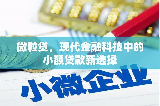 绛县微粒贷，现代金融科技中的小额贷款新选择
