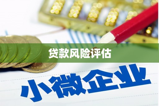 绛县贷款风险评估