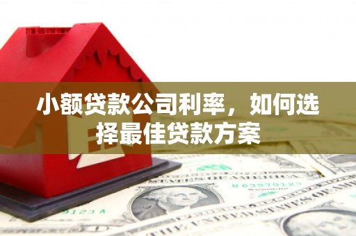 绛县小额贷款公司利率，如何选择最佳贷款方案