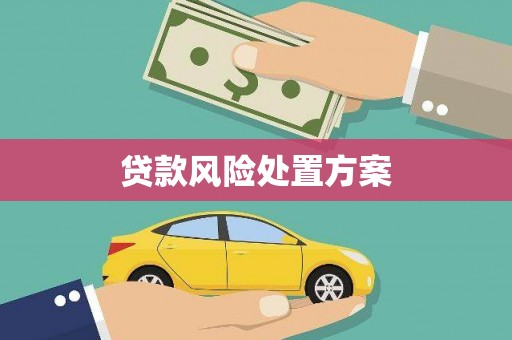 绛县贷款风险处置方案