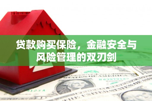 绛县贷款购买保险，金融安全与风险管理的双刃剑