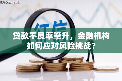 绛县贷款不良率攀升，金融机构如何应对风险挑战？