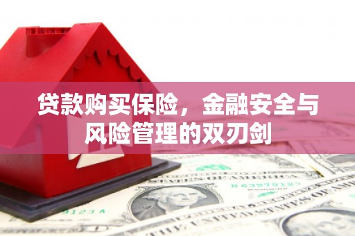 绛县贷款购买保险，金融安全与风险管理的双刃剑