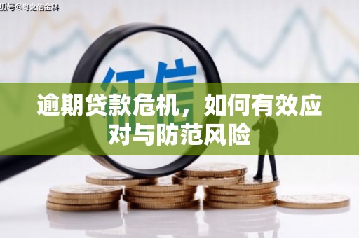 绛县逾期贷款危机，如何有效应对与防范风险
