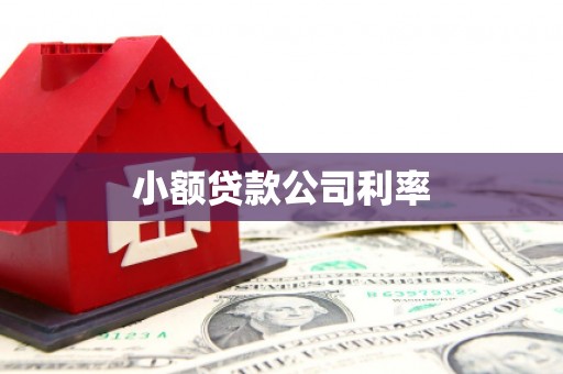 绛县小额贷款公司利率