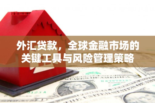 绛县外汇贷款，全球金融市场的关键工具与风险管理策略