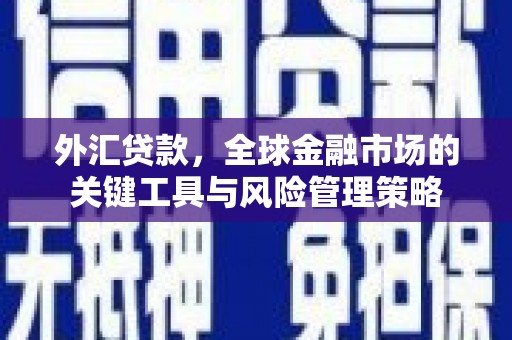 绛县外汇贷款，全球金融市场的关键工具与风险管理策略