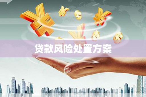绛县贷款风险处置方案