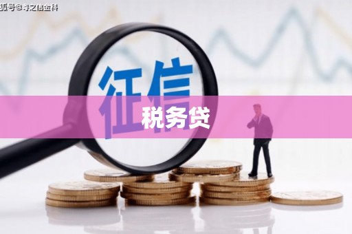 绛县税务贷