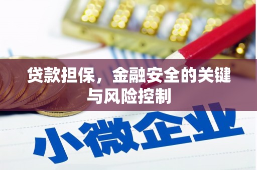 绛县贷款担保，金融安全的关键与风险控制