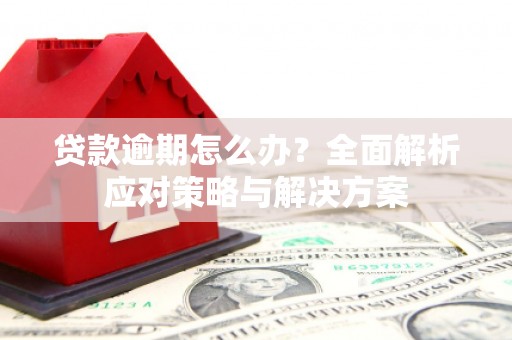 绛县贷款逾期怎么办？全面解析应对策略与解决方案